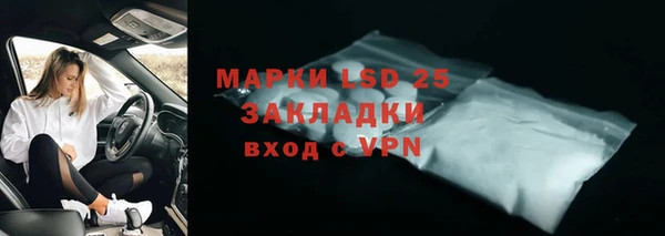 прущие грибы Горнозаводск