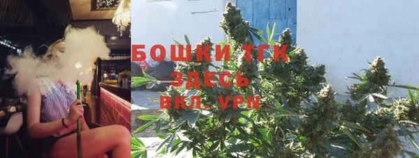 прущие грибы Горнозаводск