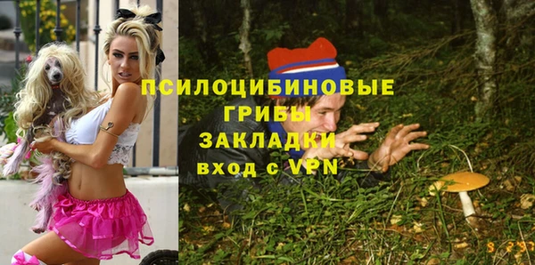 первитин Горняк