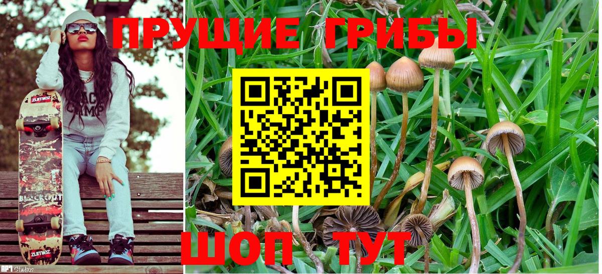 Псилоцибиновые грибы ЛСД Маркс