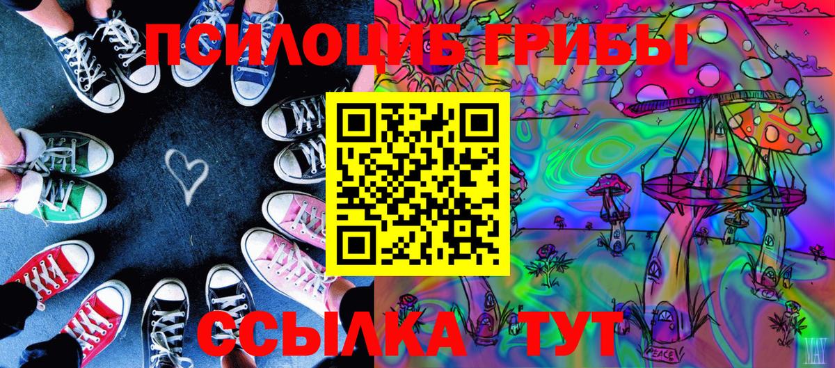 Псилоцибиновые грибы мицелий Маркс